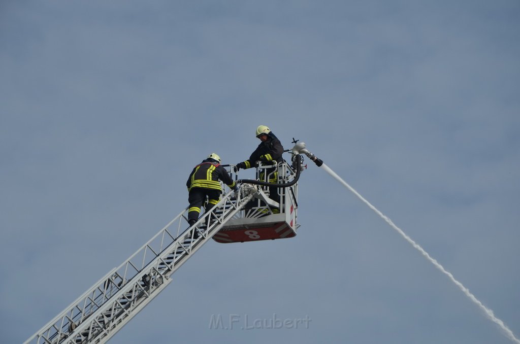 Grossfeuer Poco Lager Koeln Porz Gremberghoven Hansestr P834.jpg - Miklos Laubert